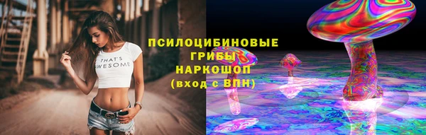 каннабис Аркадак