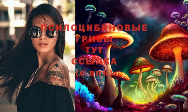 каннабис Аркадак