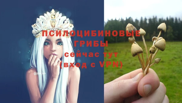 Альфа ПВП Армянск