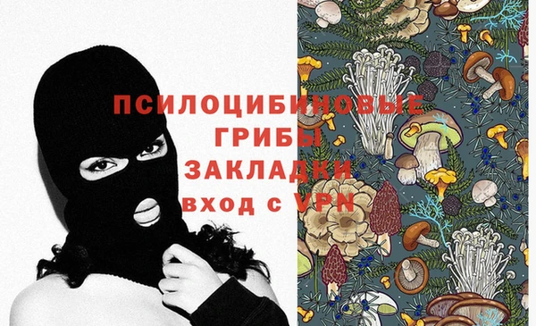 каннабис Аркадак