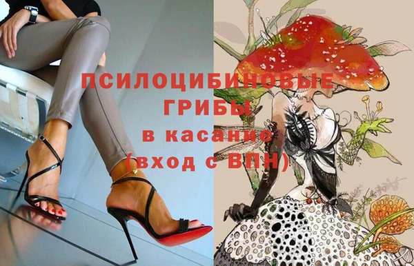 каннабис Аркадак